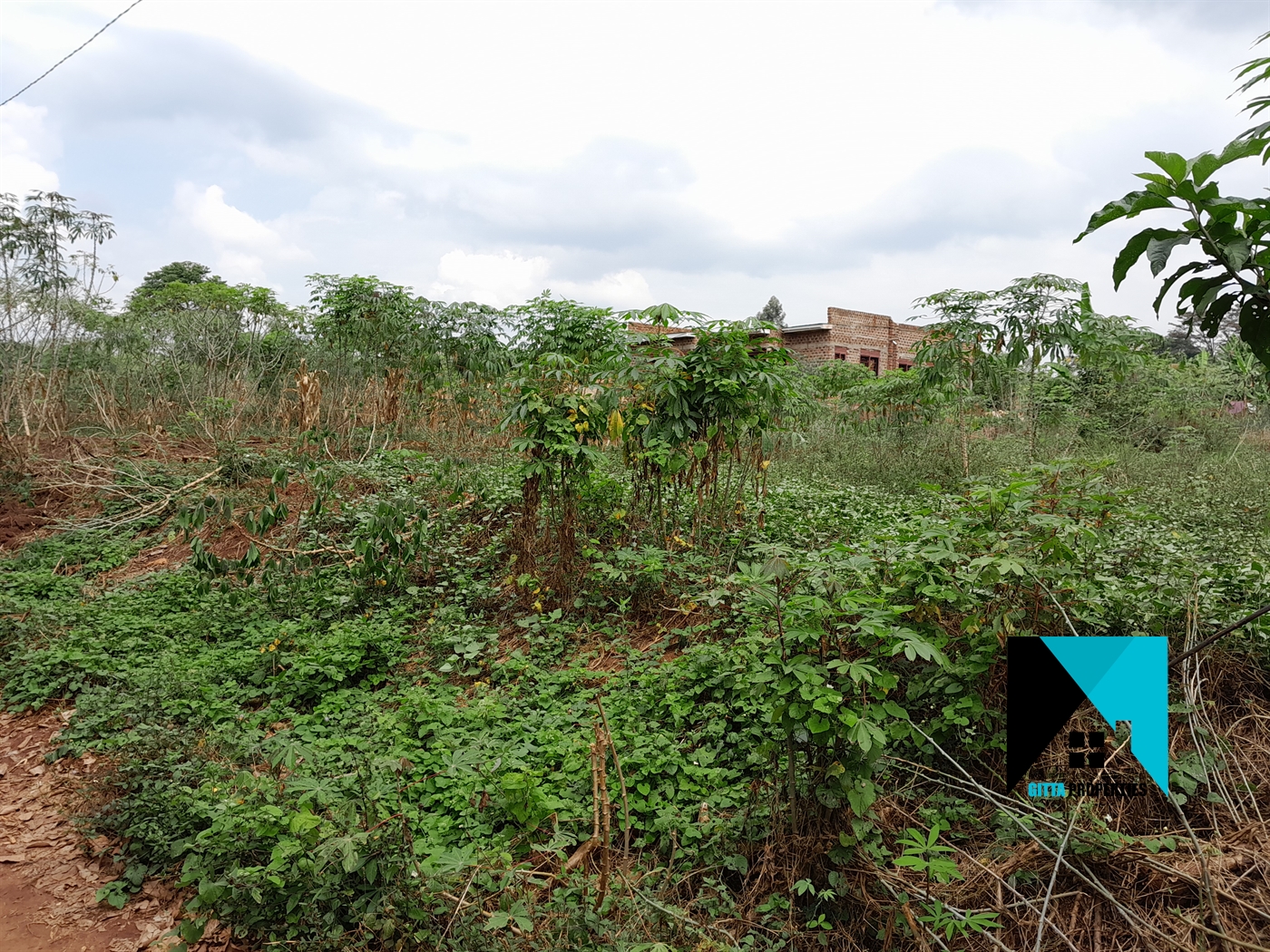 Residential Land for sale in Buddugala Mukono