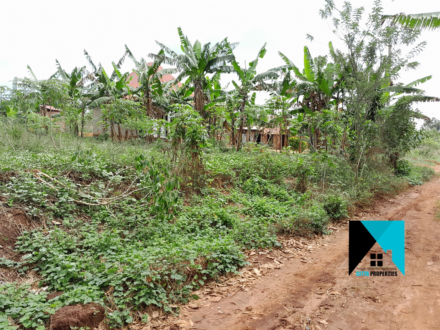 Residential Land for sale in Buddugala Mukono