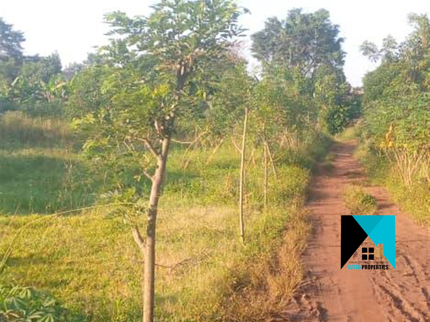 Multipurpose Land for sale in Kakooge Luweero