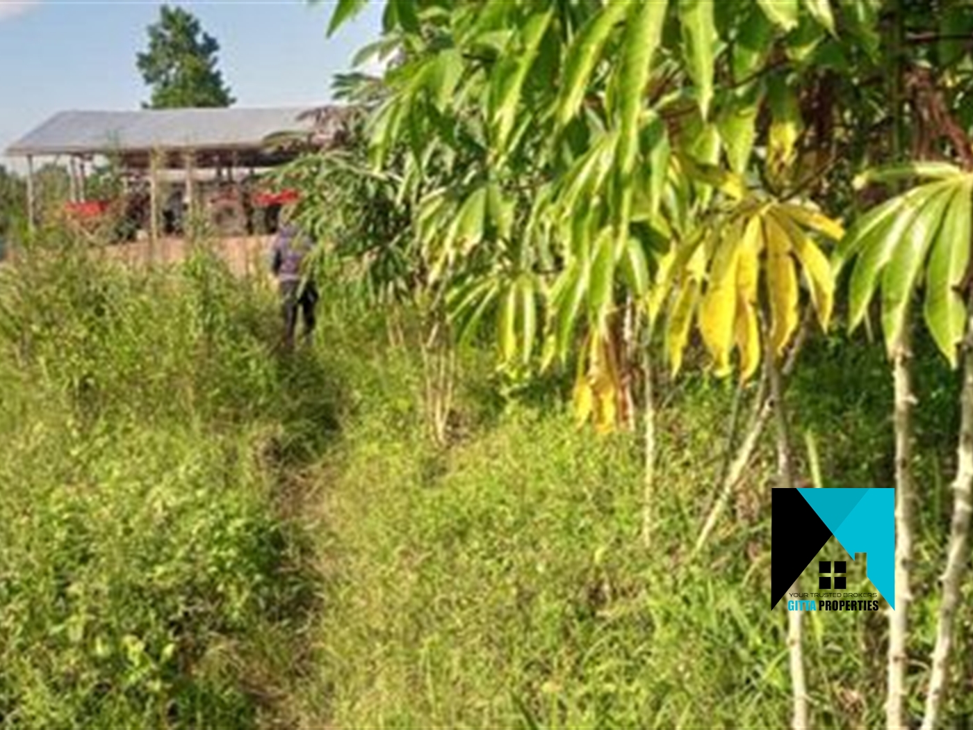 Multipurpose Land for sale in Kiwoko Nakaseke