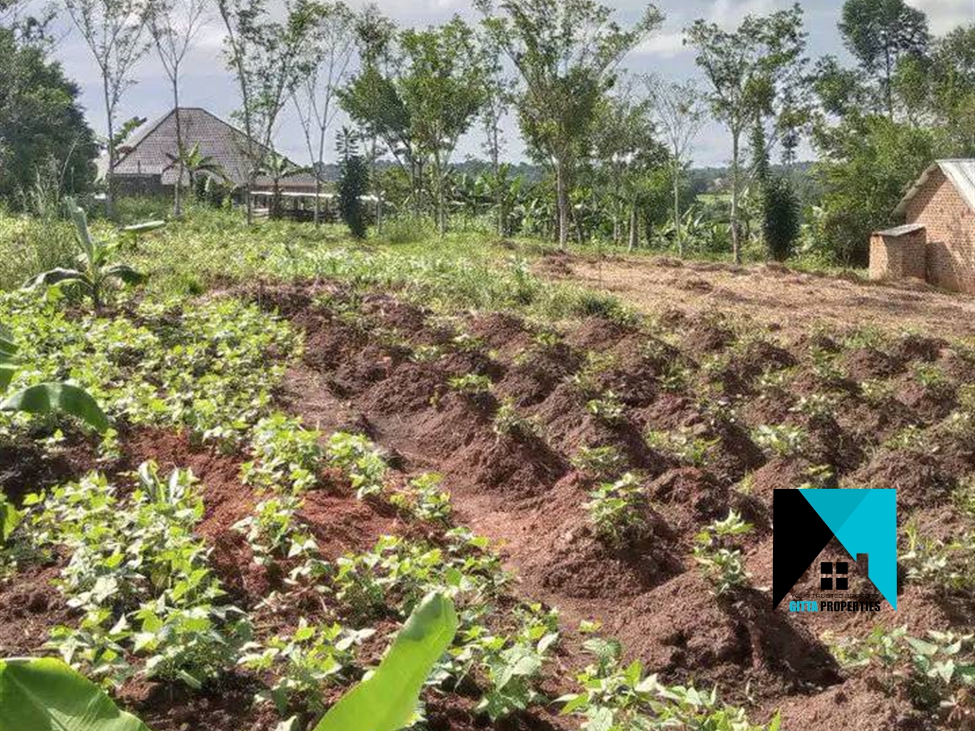 Residential Land for sale in Kiroro Wakiso