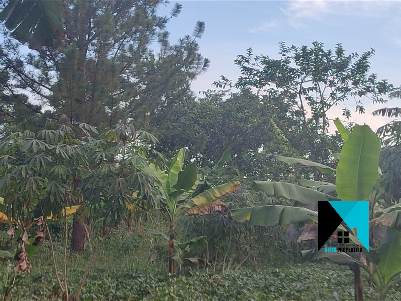 Residential Land for sale in Kijabijo Wakiso