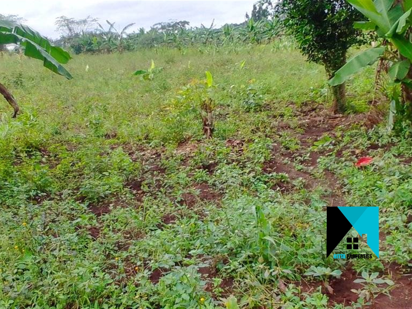 Multipurpose Land for sale in Ndibulungi Luweero