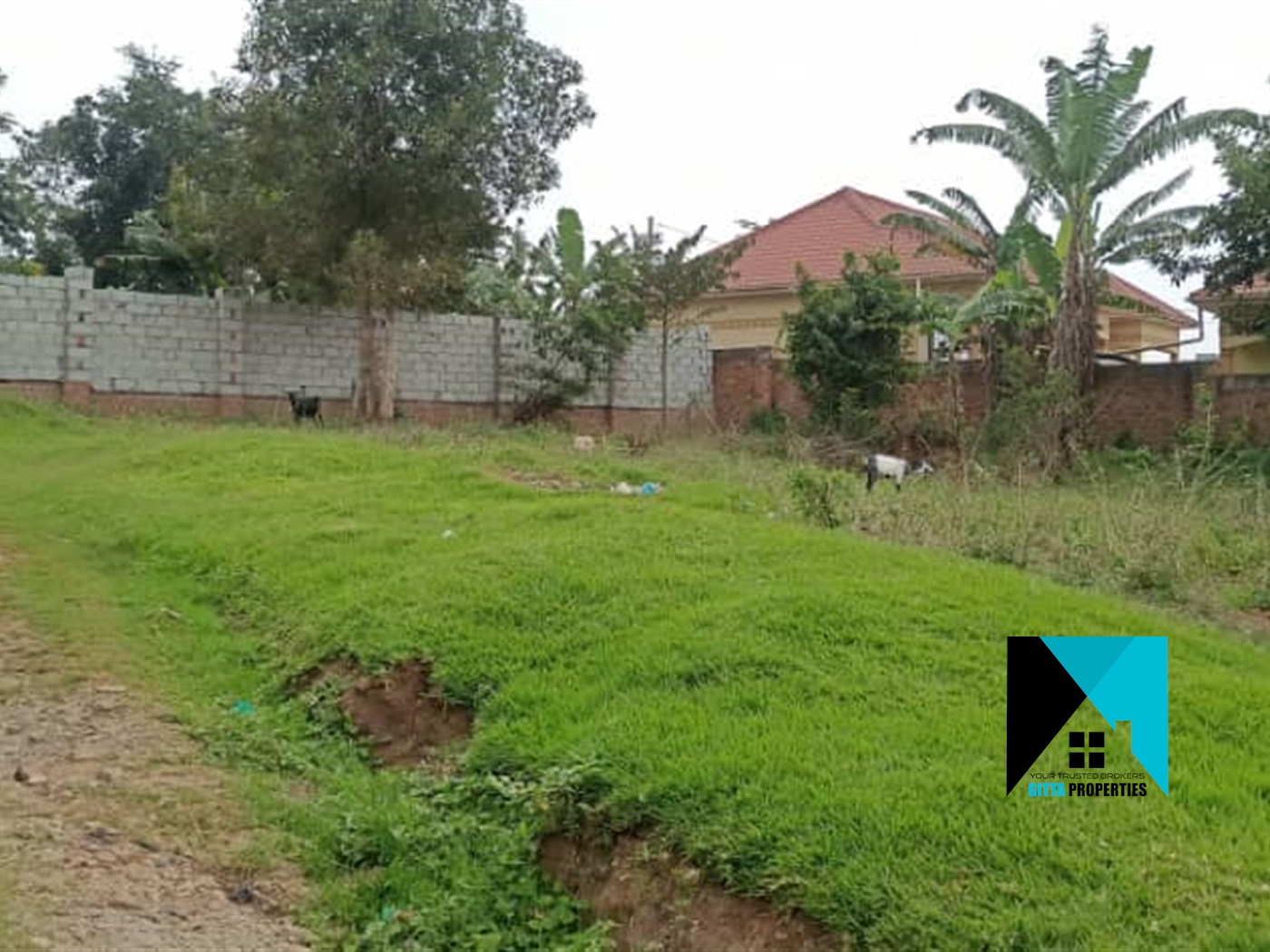 Residential Land for sale in Namugongo Wakiso