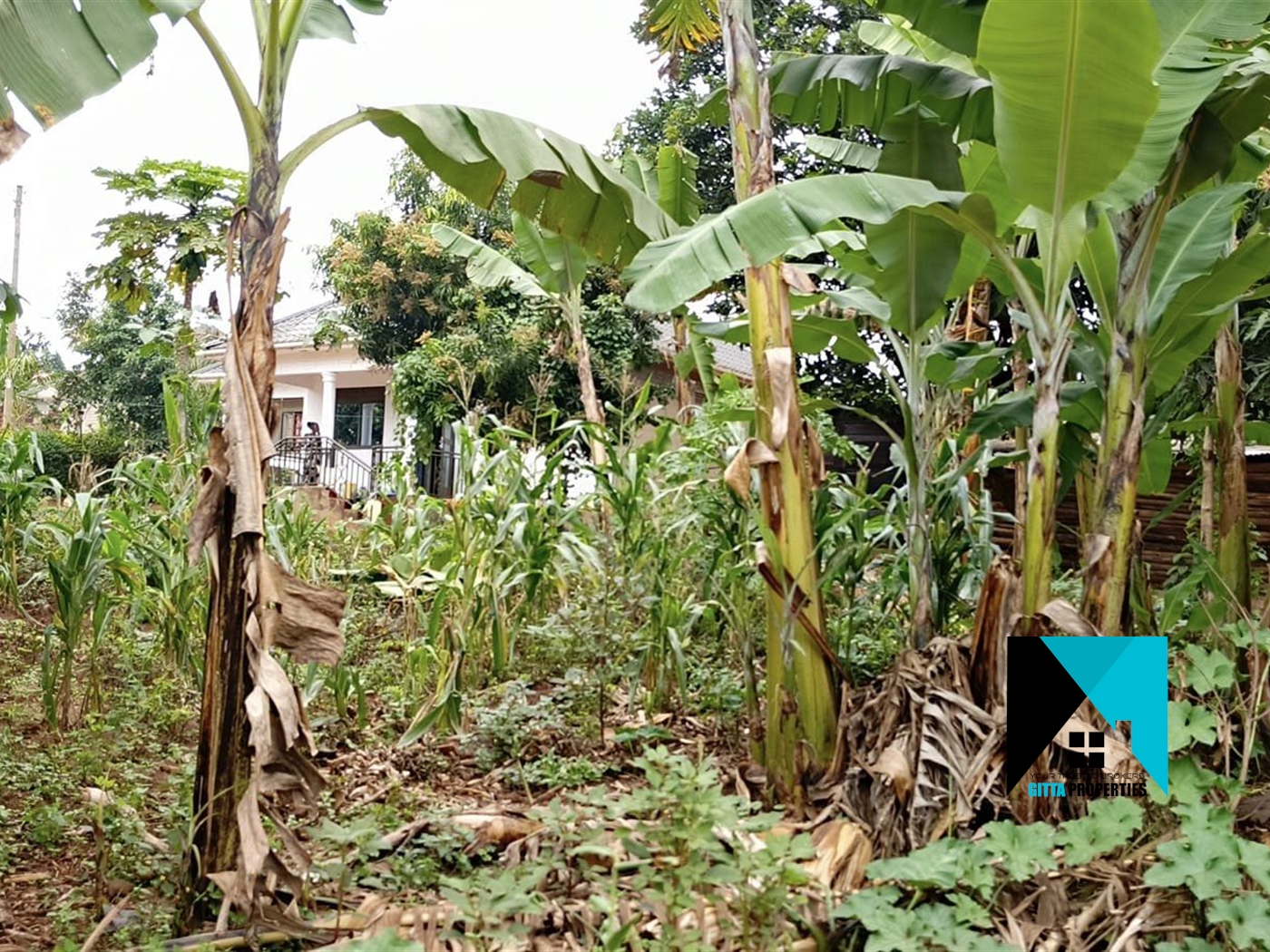 Bungalow for sale in Ssanga Wakiso