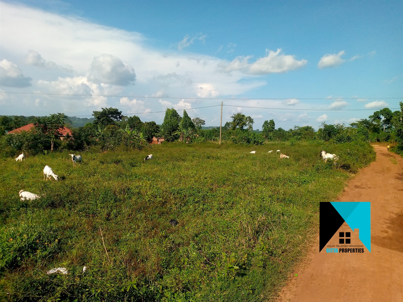 Residential Land for sale in Buddugala Mukono