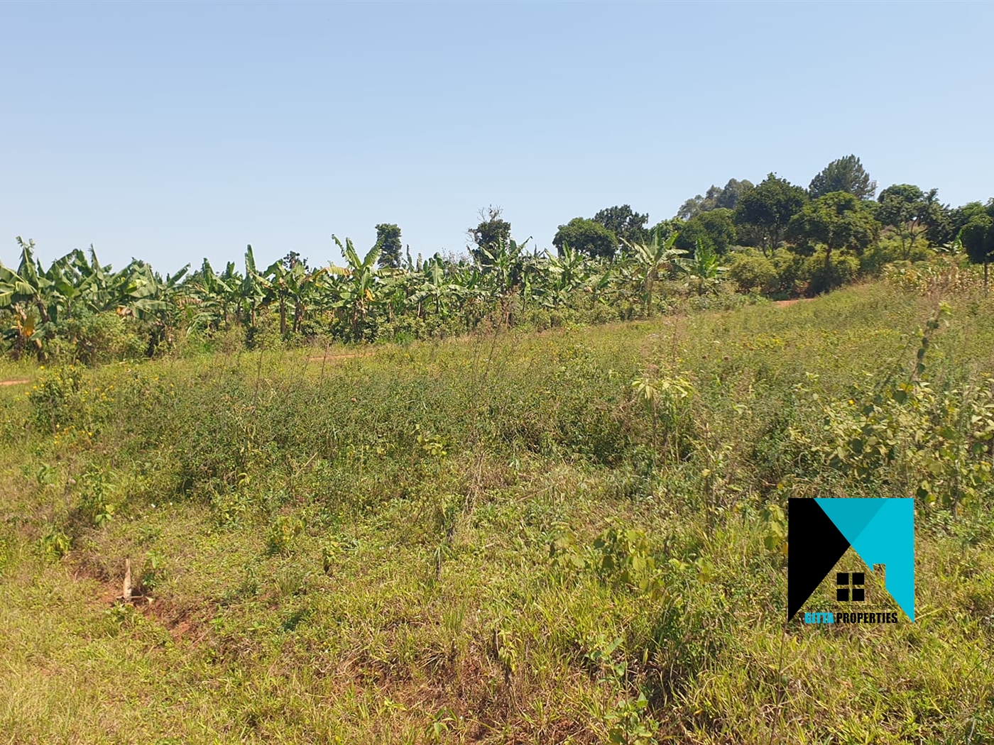 Residential Land for sale in Kiwenda Wakiso