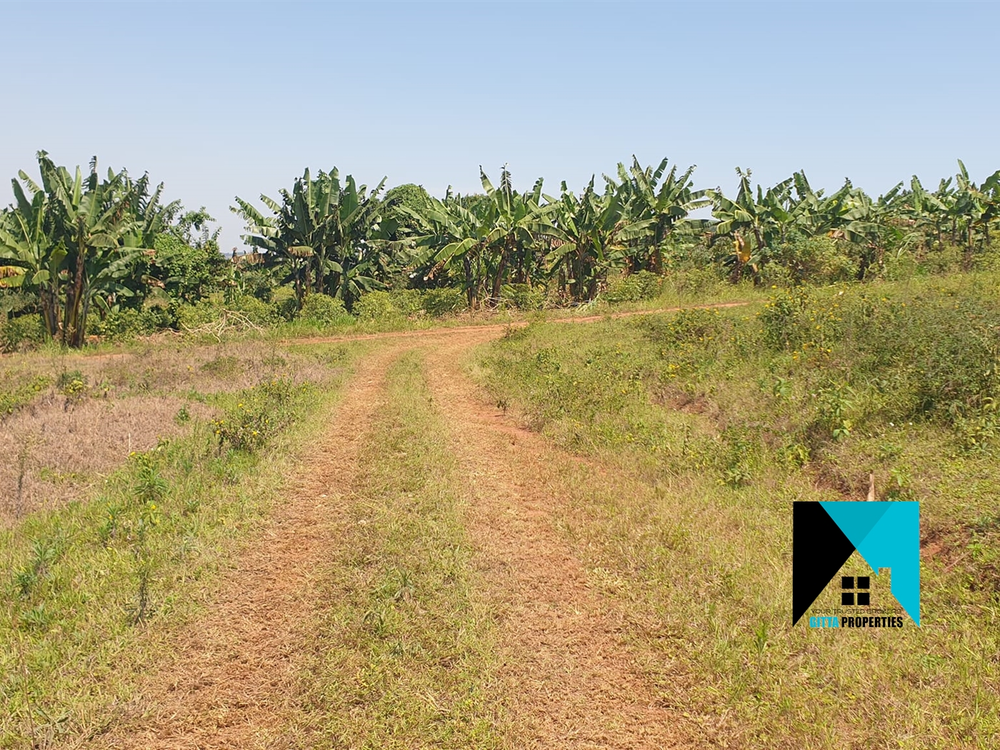 Residential Land for sale in Kiwenda Wakiso