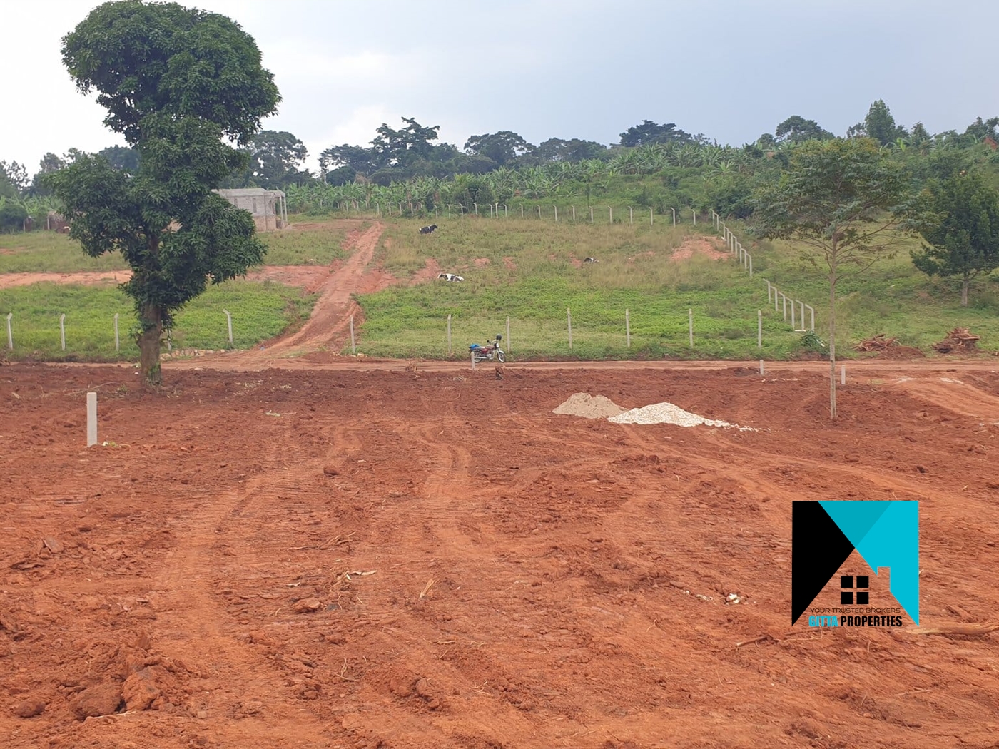 Residential Land for sale in Kiwenda Wakiso