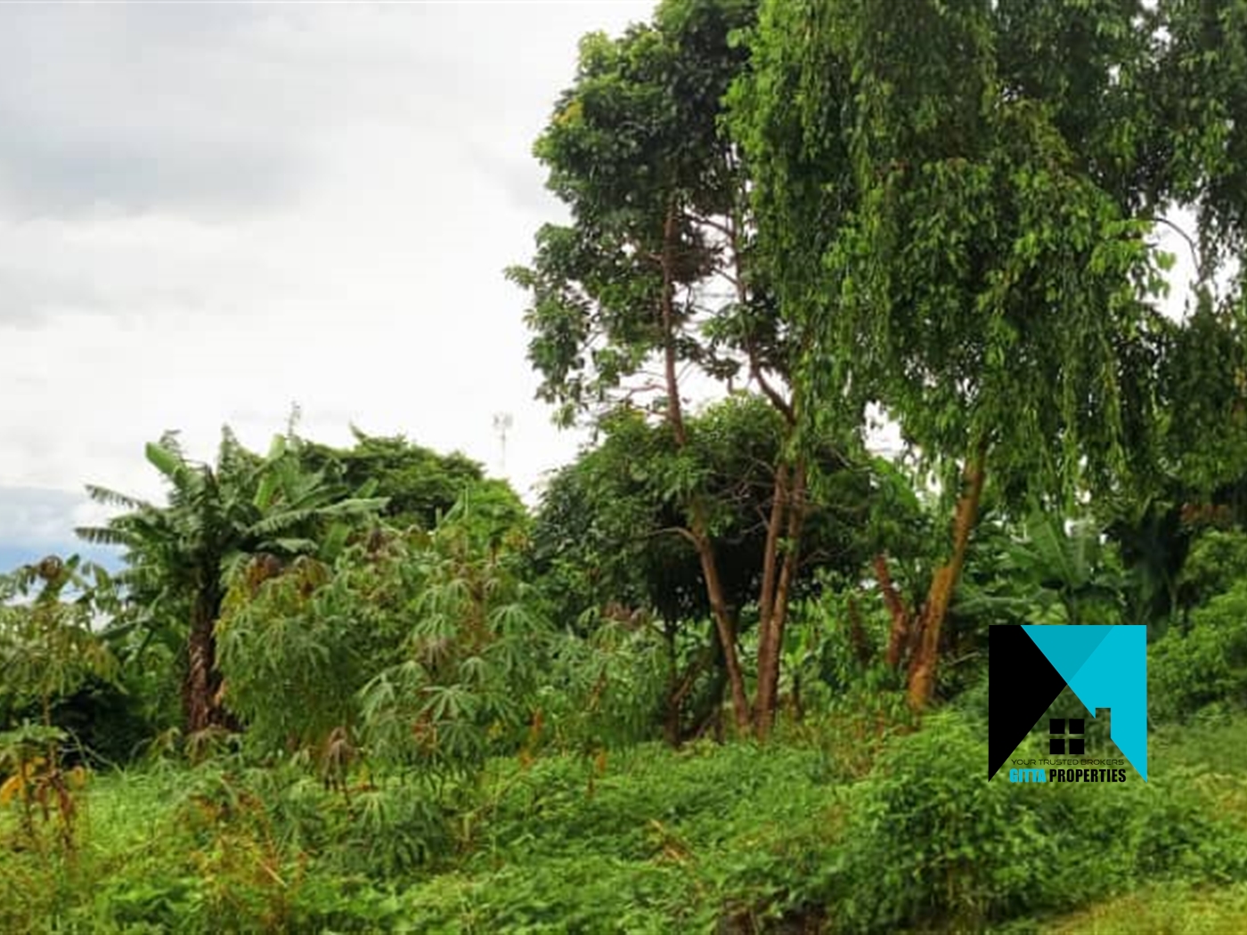 Multipurpose Land for sale in Kigo Wakiso