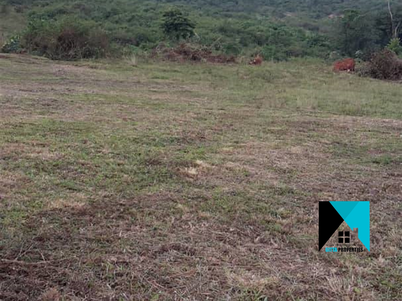 Multipurpose Land for sale in Kalagi Mukono