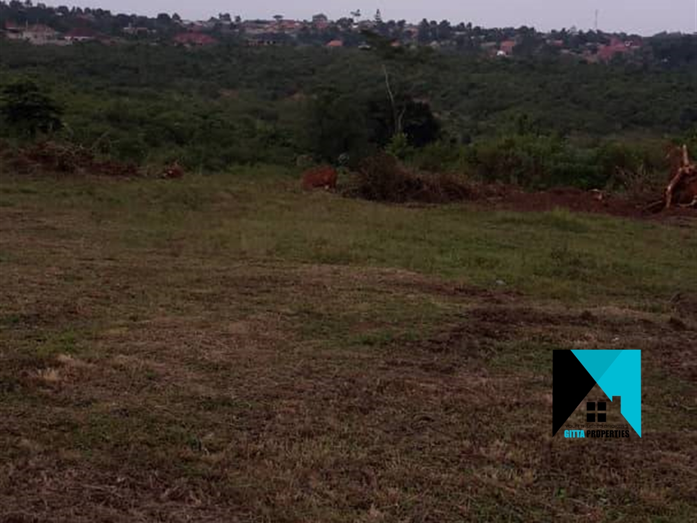 Multipurpose Land for sale in Kalagi Mukono