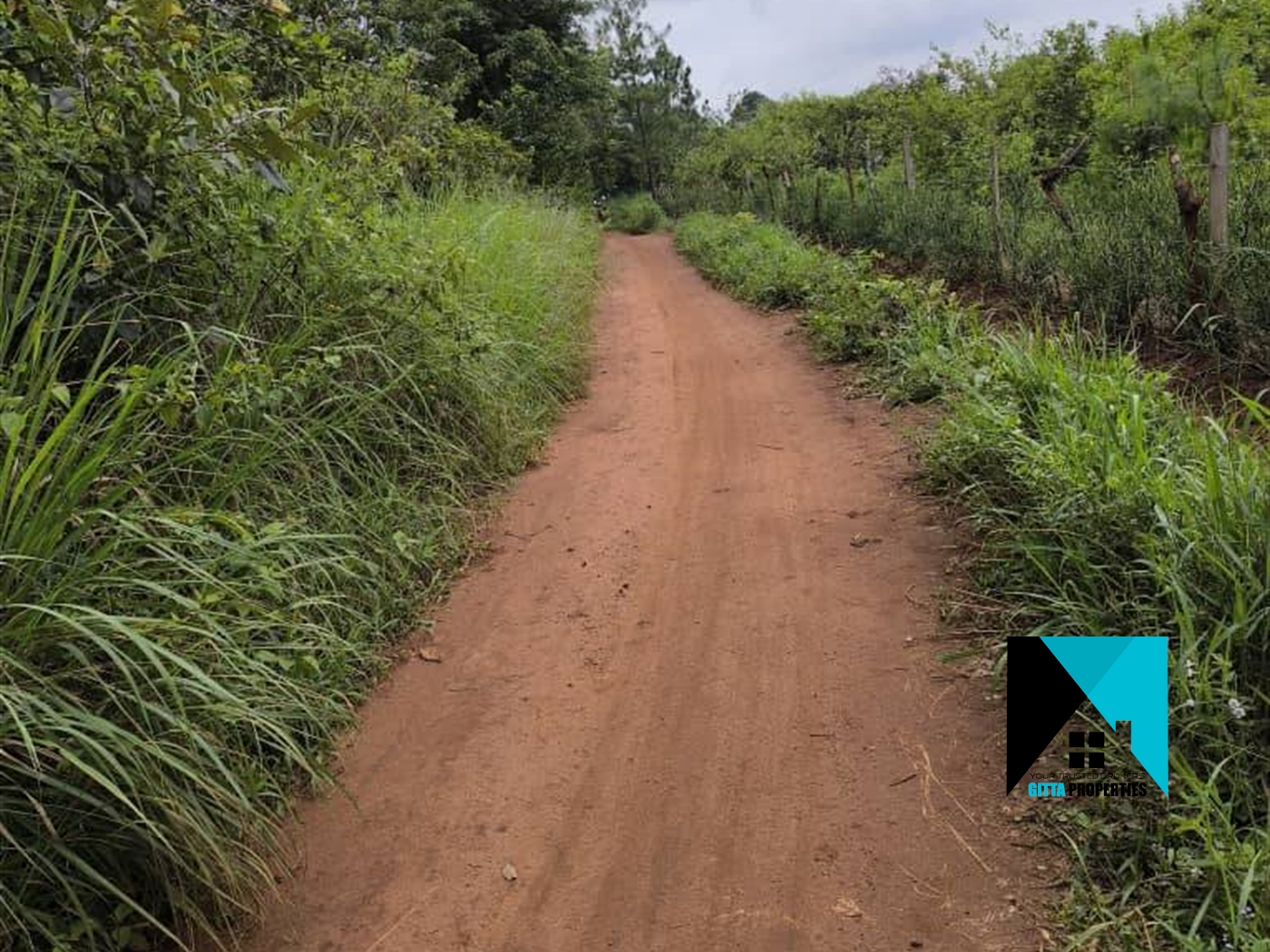 Multipurpose Land for sale in Kakooge Luweero