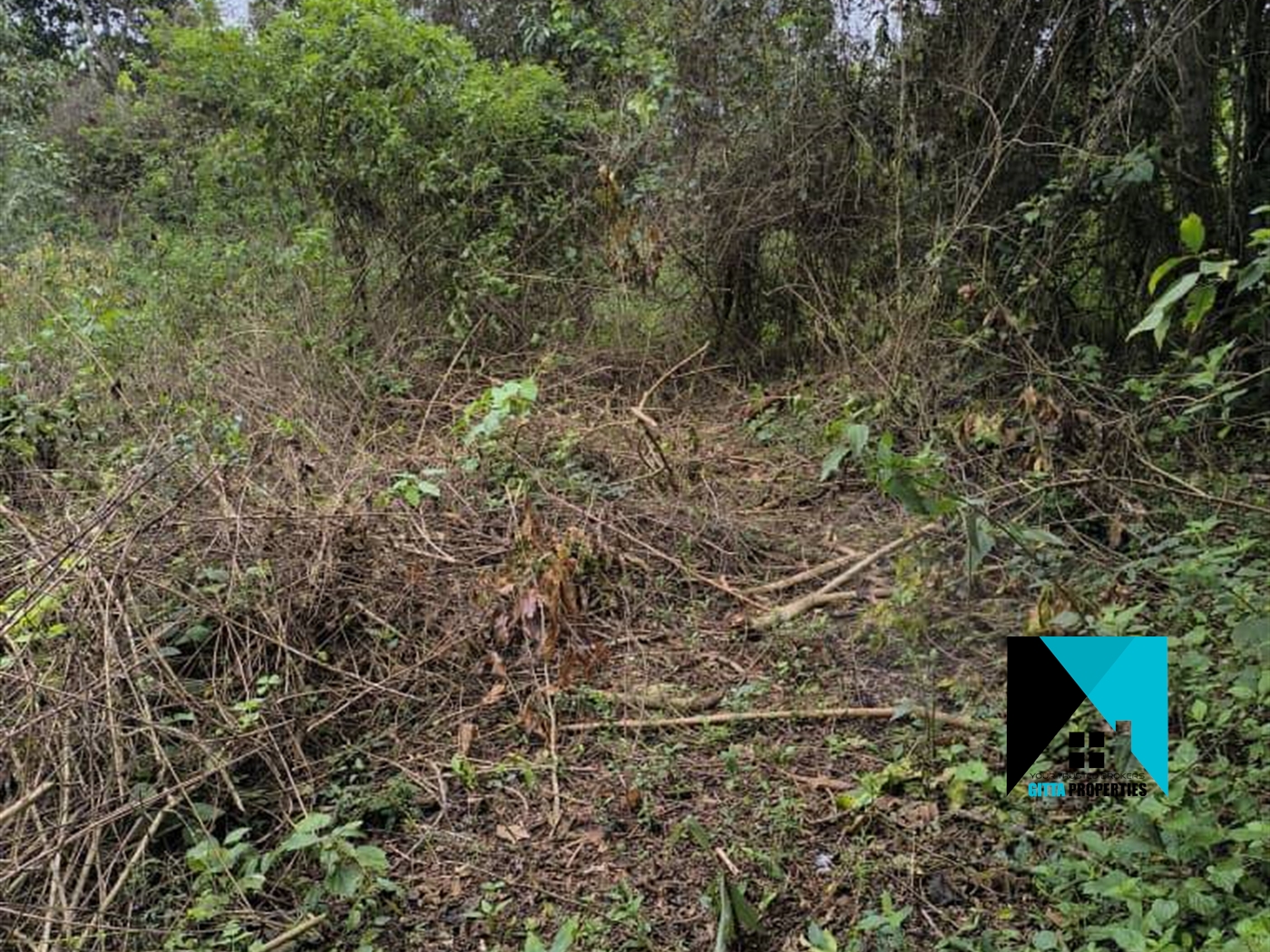 Multipurpose Land for sale in Kakooge Luweero