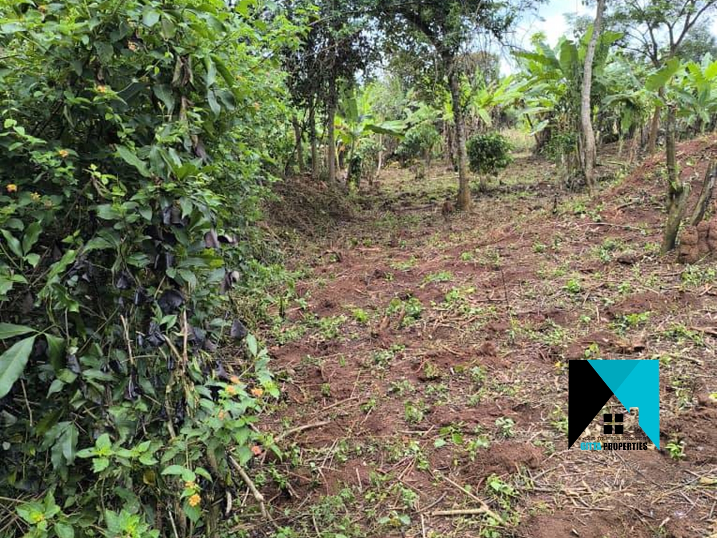 Multipurpose Land for sale in Kakooge Luweero