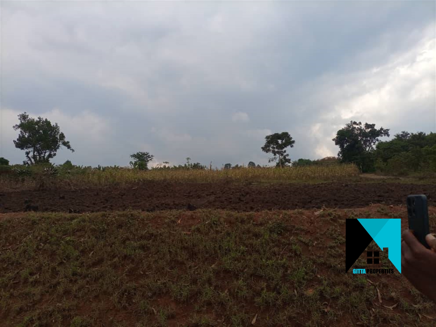 Multipurpose Land for sale in Kassanda Mityana