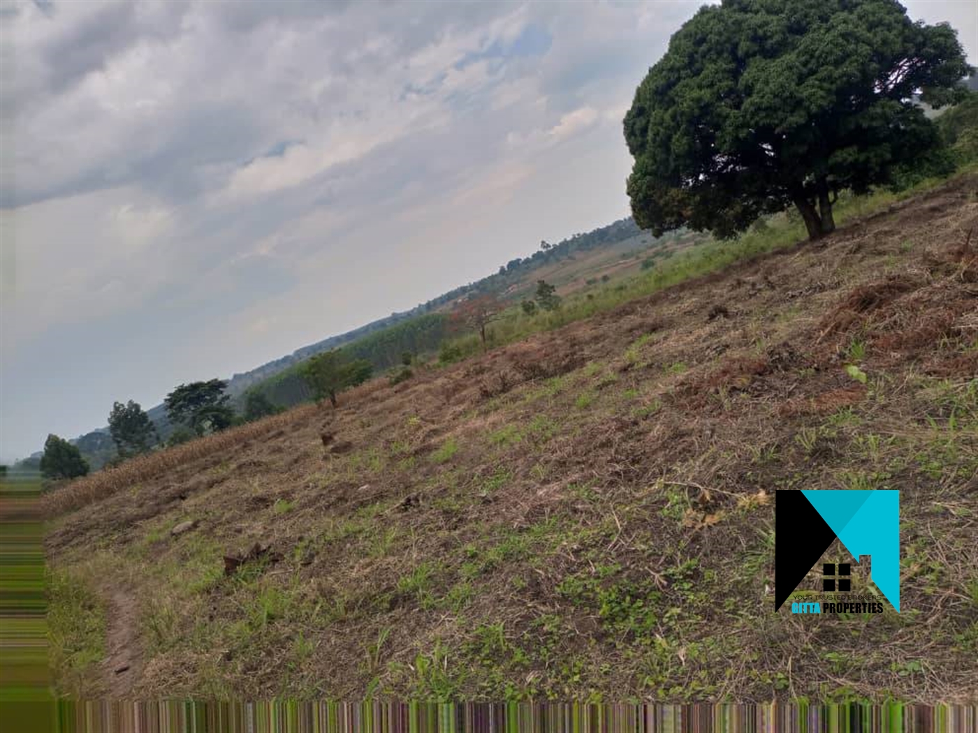 Multipurpose Land for sale in Kassanda Mityana