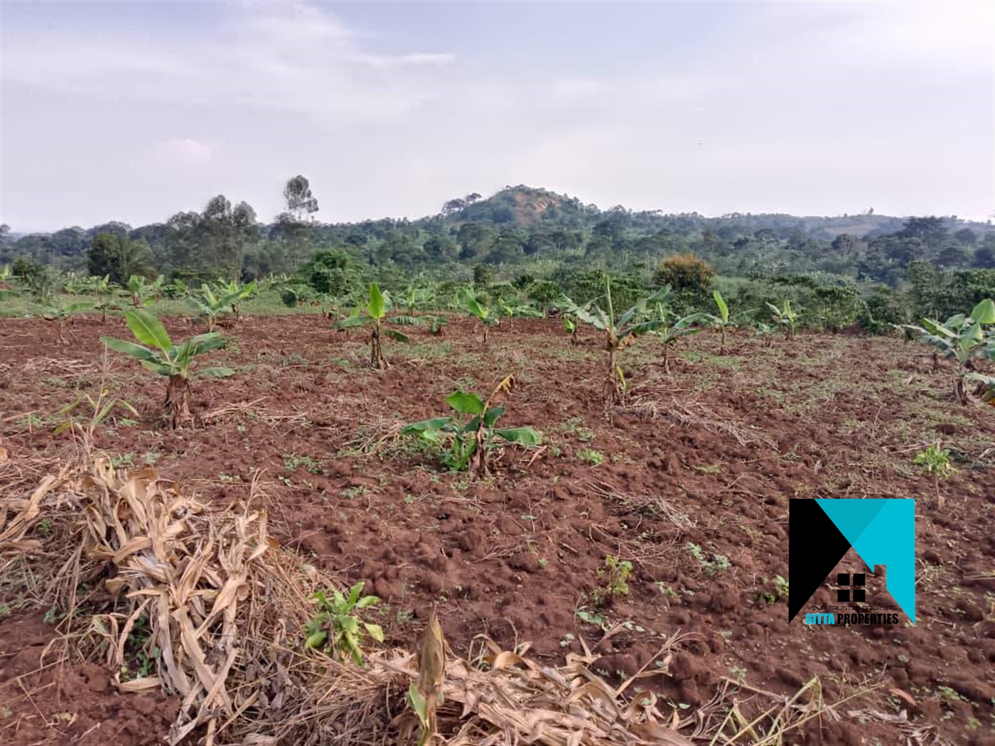 Residential Land for sale in Busunjju Mityana