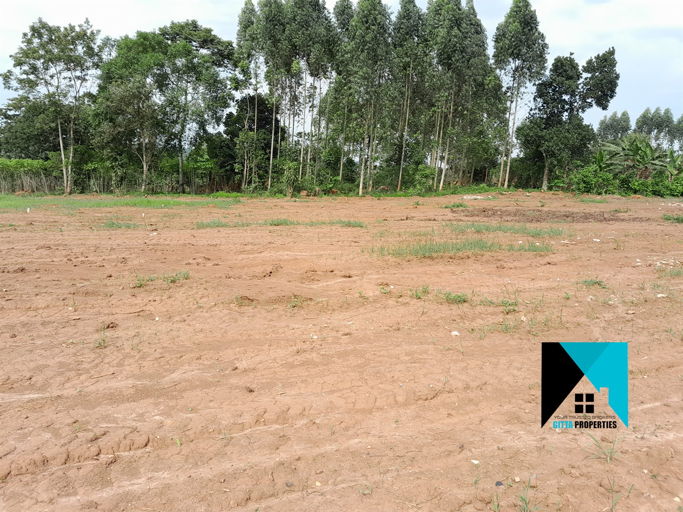 Residential Land for sale in Kasai Mukono