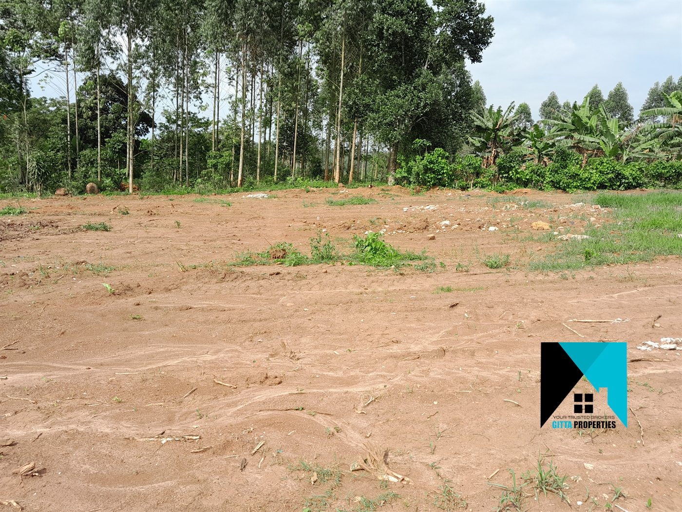 Residential Land for sale in Kasai Mukono