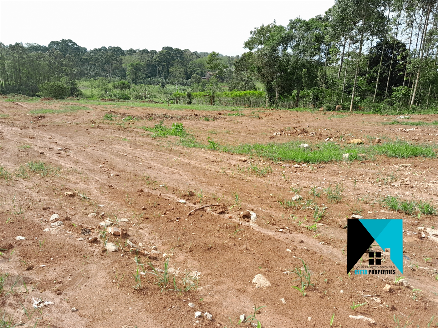 Residential Land for sale in Kasai Mukono