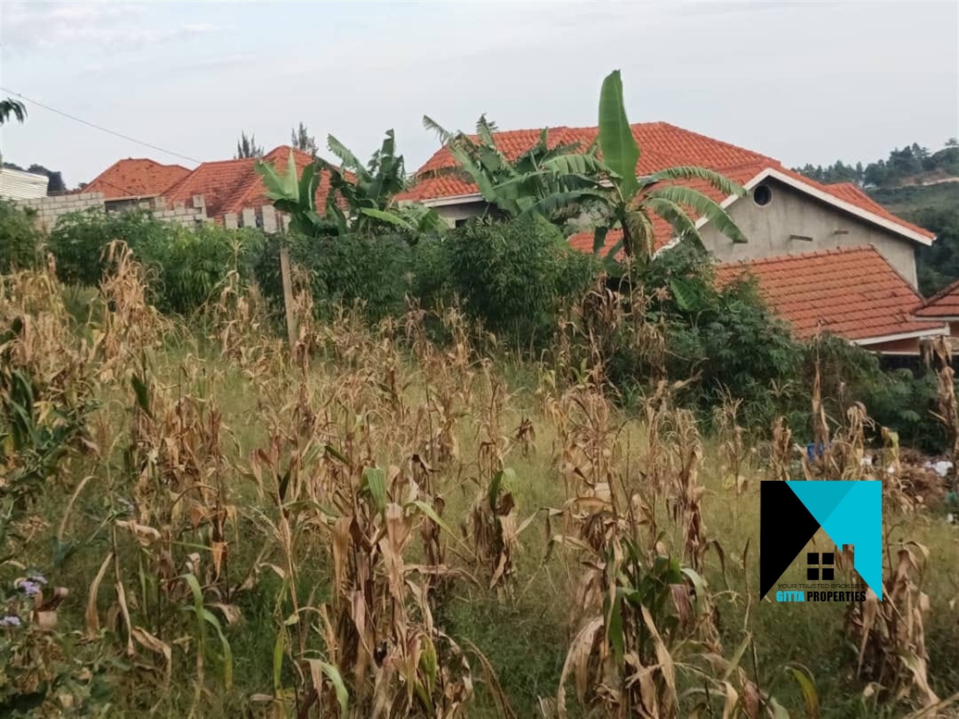 Residential Land for sale in Akright Wakiso