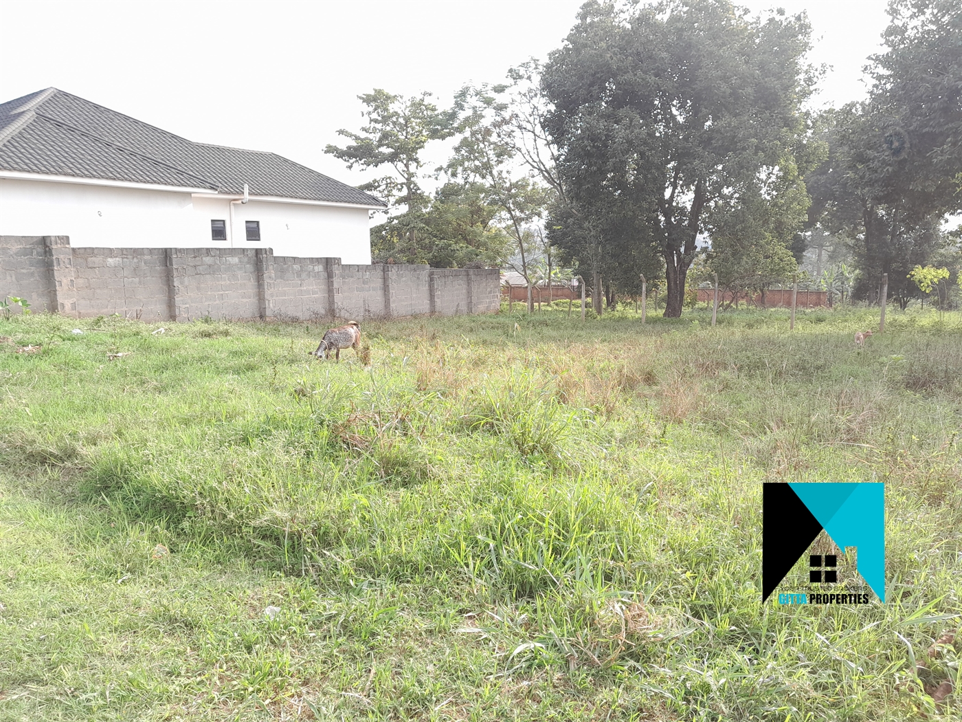 Residential Land for sale in Sonde Mukono