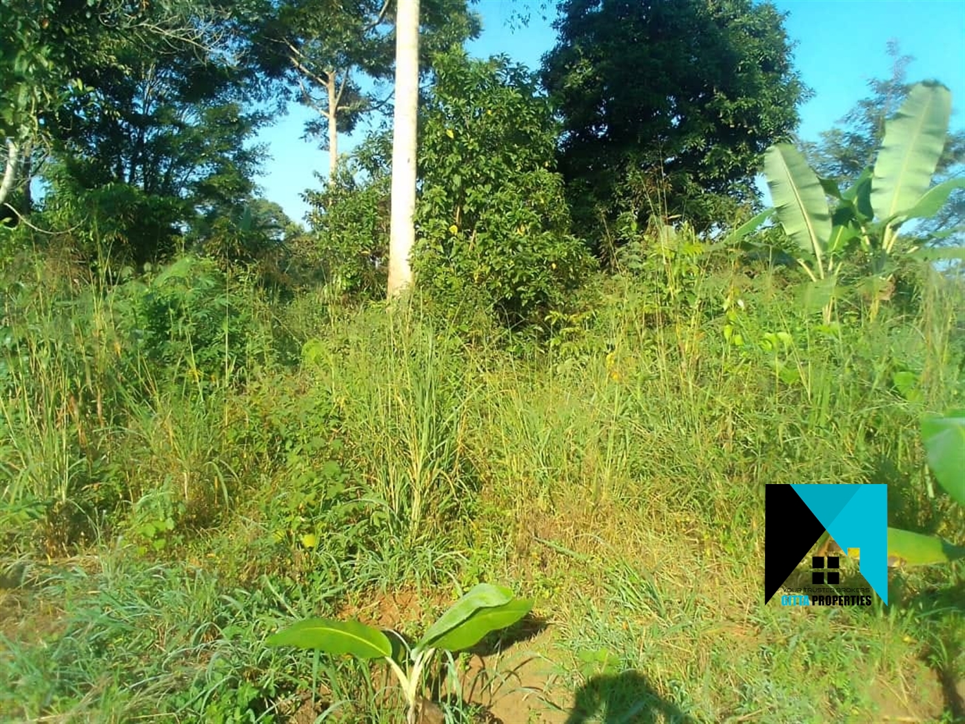 Multipurpose Land for sale in Kasana Luweero