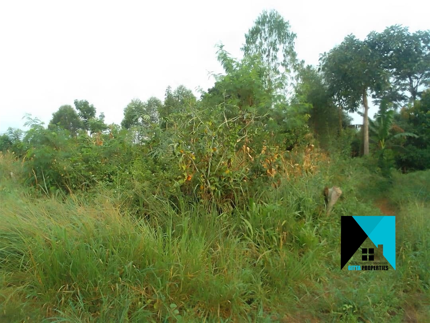 Multipurpose Land for sale in Kasana Luweero