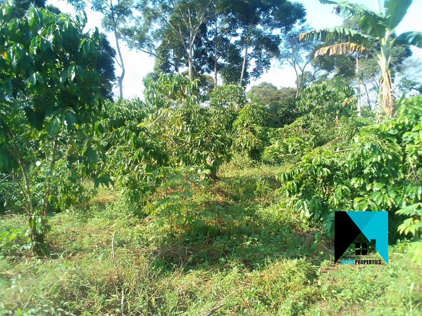 Multipurpose Land for sale in Kasana Luweero