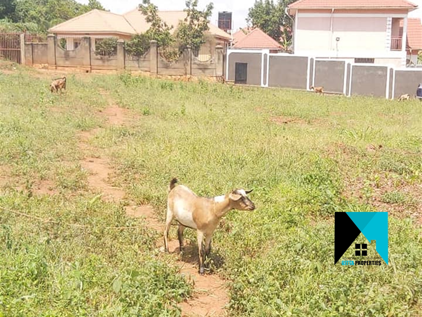 Residential Land for sale in Bwebajja Wakiso