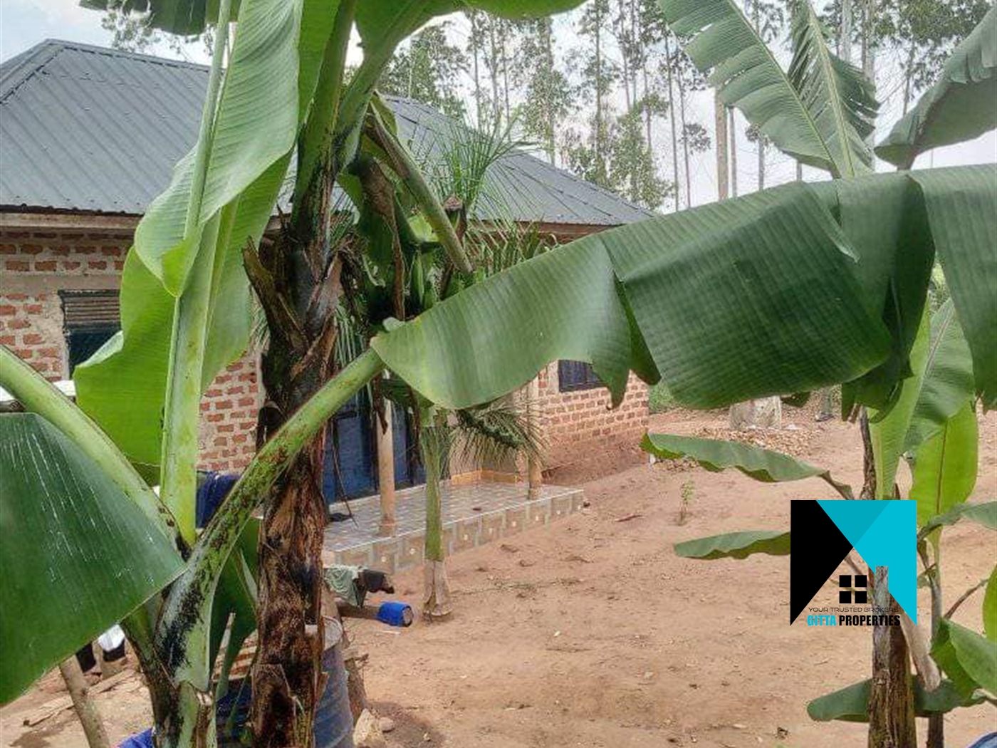 Bungalow for sale in Katade Wakiso