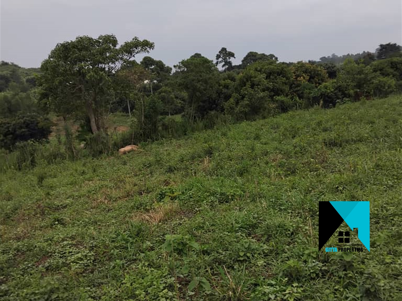 Residential Land for sale in Busiika Luweero