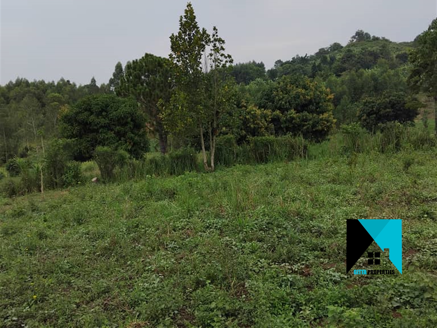 Residential Land for sale in Busiika Luweero