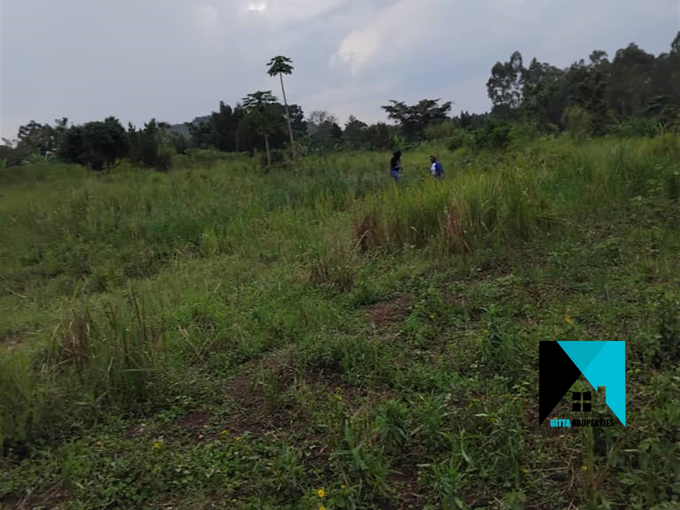 Residential Land for sale in Busiika Luweero