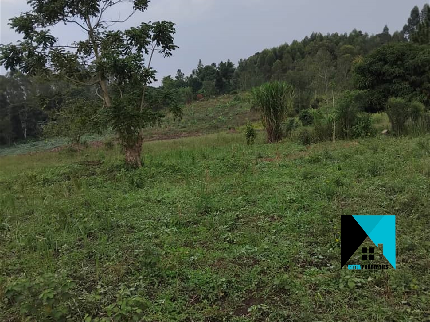 Residential Land for sale in Busiika Luweero