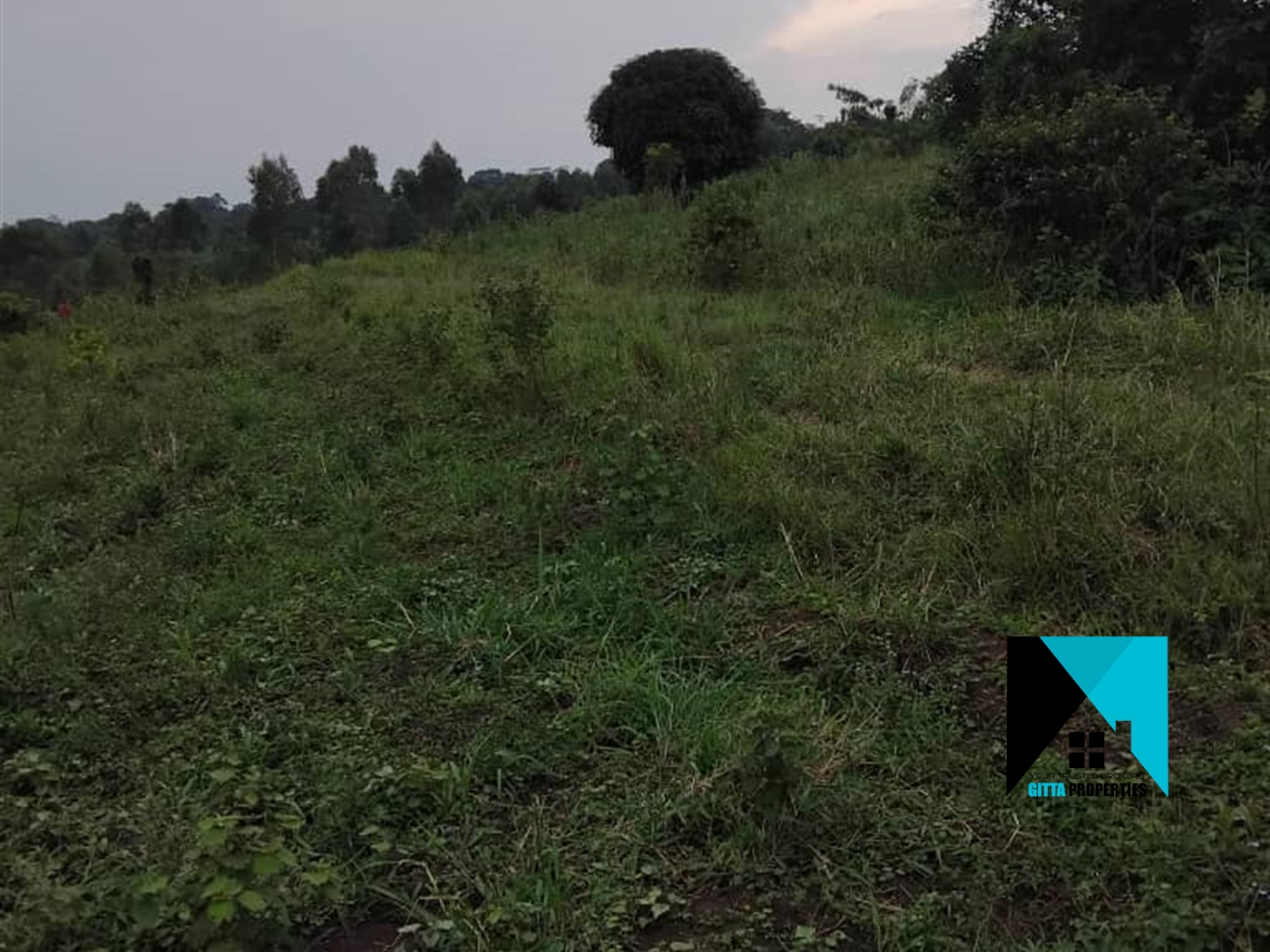 Residential Land for sale in Busiika Luweero