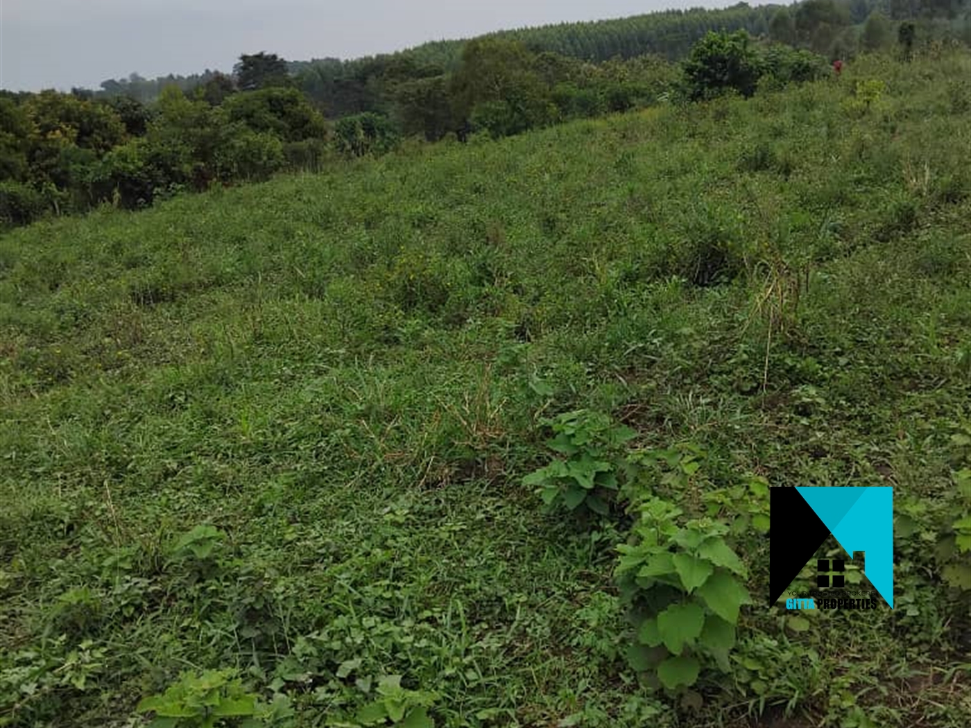 Residential Land for sale in Busiika Luweero