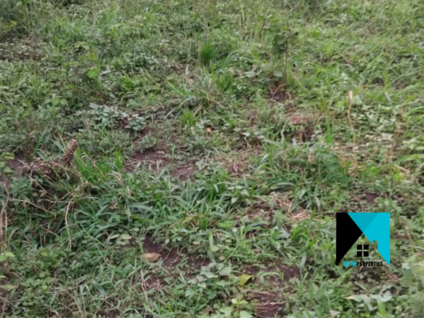 Residential Land for sale in Busiika Luweero