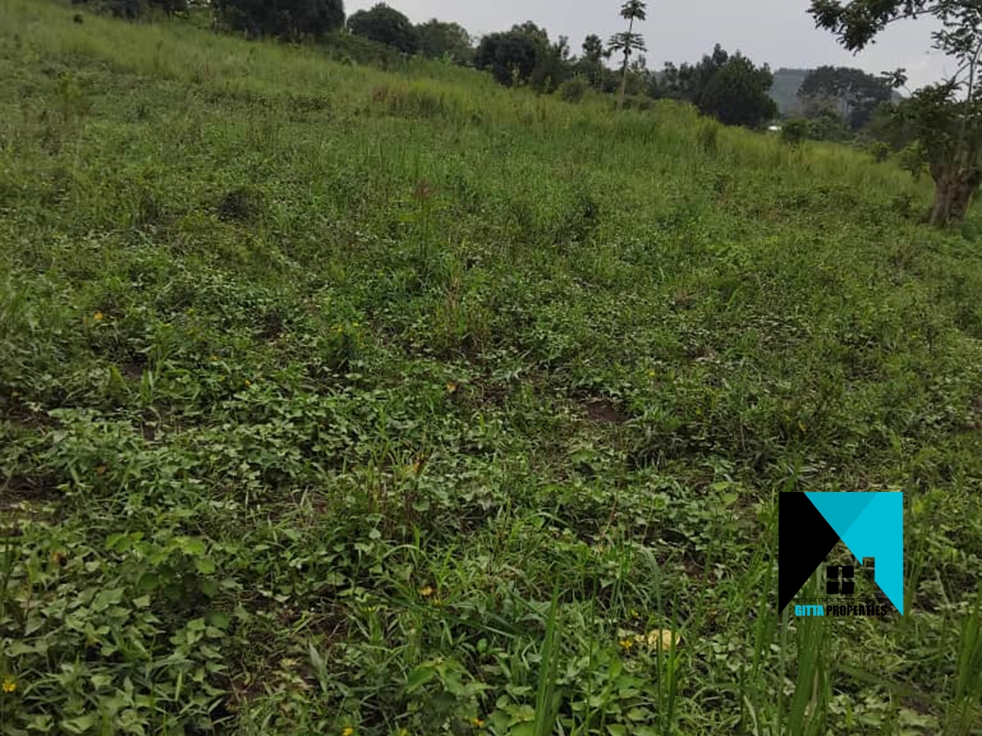 Residential Land for sale in Busiika Luweero