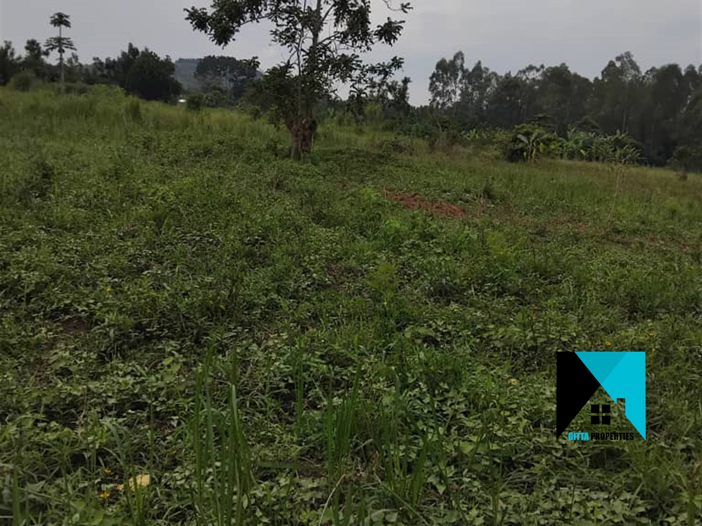 Residential Land for sale in Busiika Luweero