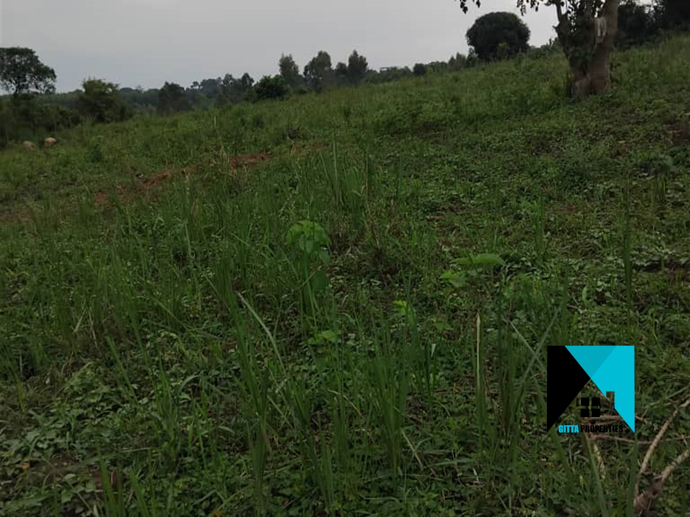 Residential Land for sale in Busiika Luweero