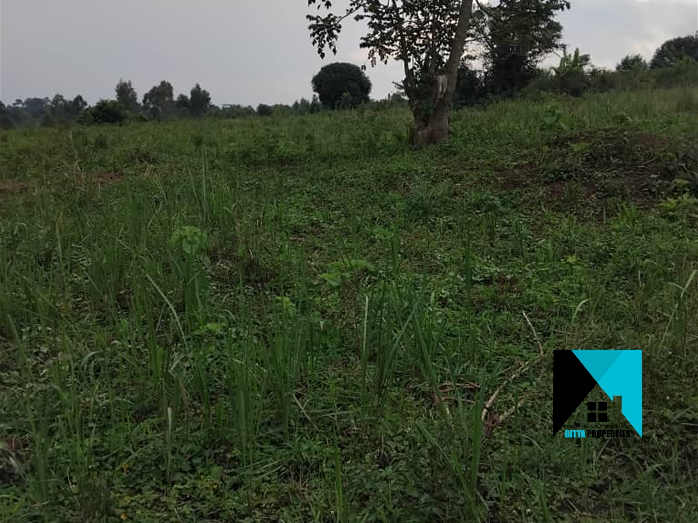 Residential Land for sale in Busiika Luweero