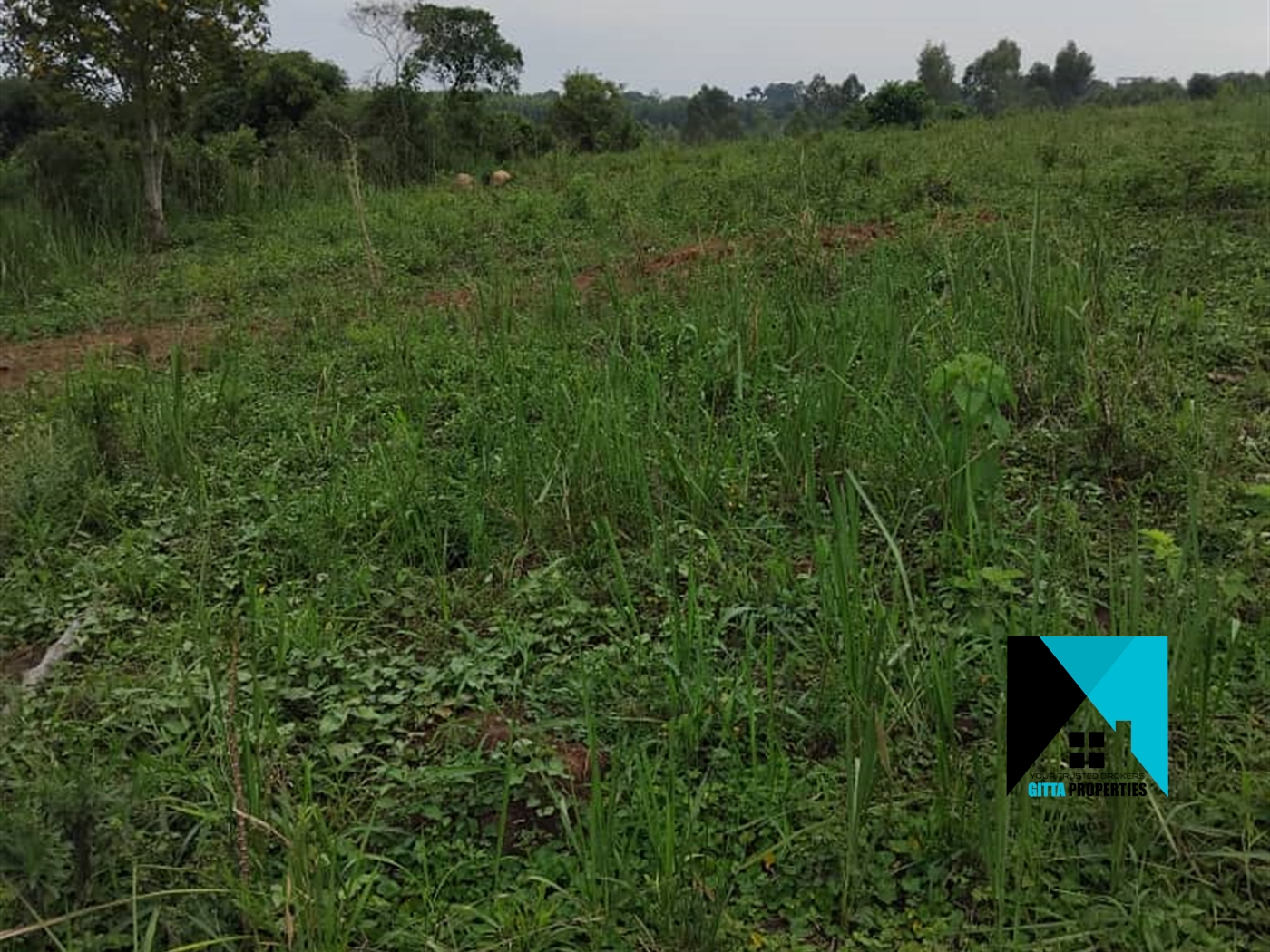 Residential Land for sale in Busiika Luweero