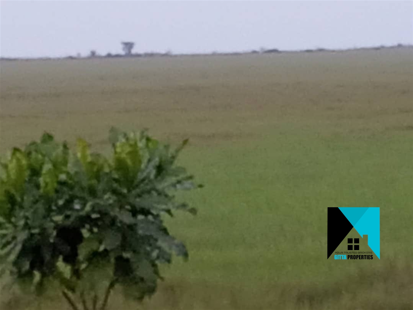 Multipurpose Land for sale in Kyotela Masaka