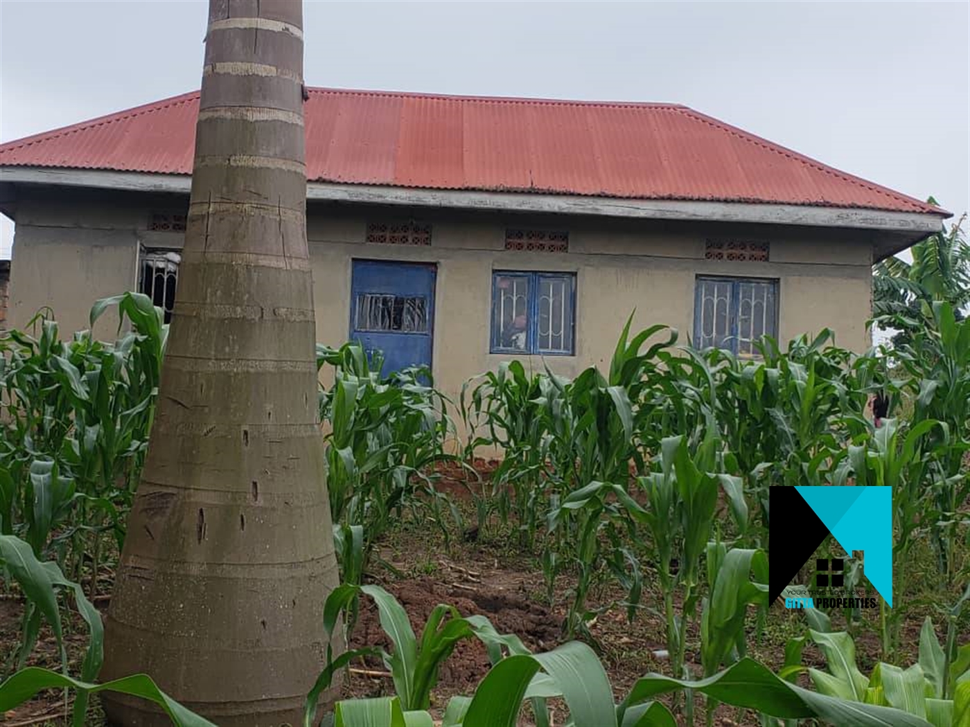 Bungalow for sale in Kavule Wakiso