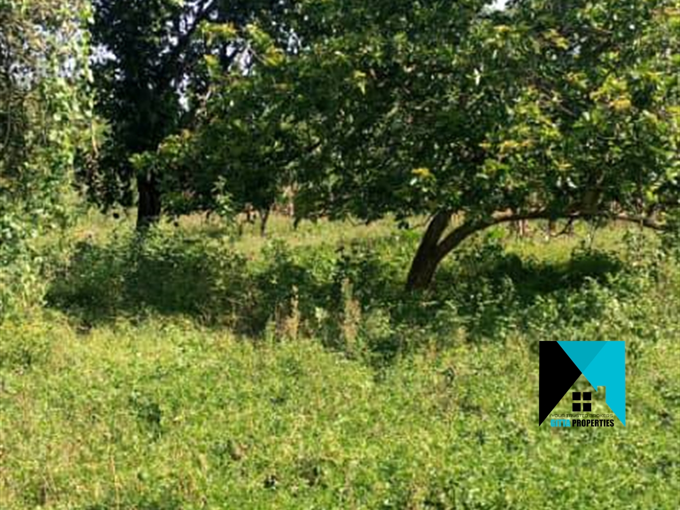 Residential Land for sale in Kikyuusa Luweero