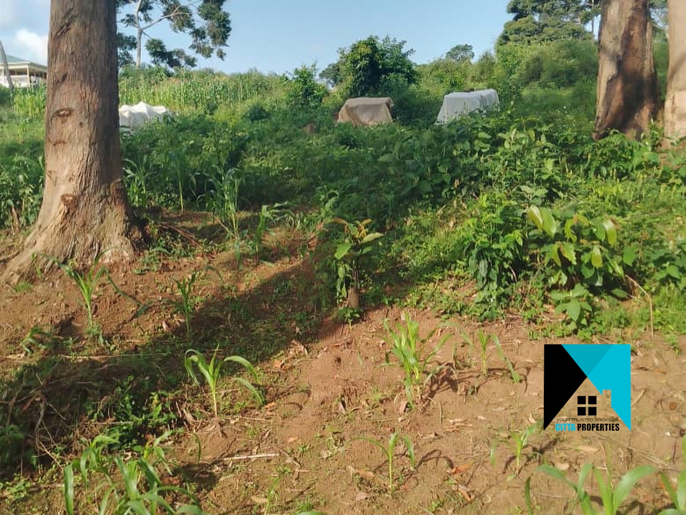 Multipurpose Land for sale in BukasaKawuku Wakiso