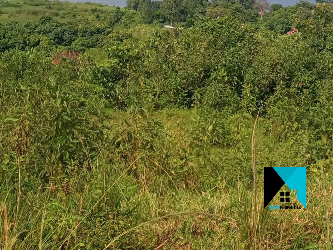 Multipurpose Land for sale in BugiriBukasa Jinja