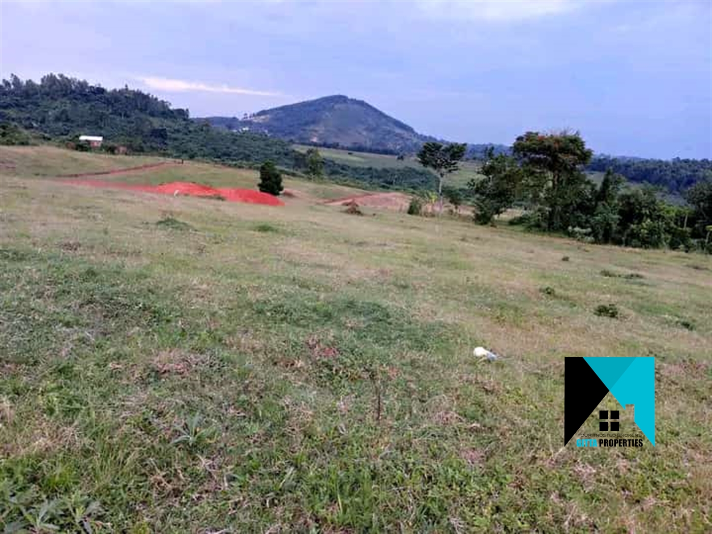 Residential Land for sale in Namusela Wakiso